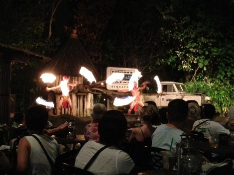 I didn't get a picture of the animals, but I did get this one of the fire show I watched after the tram ride.