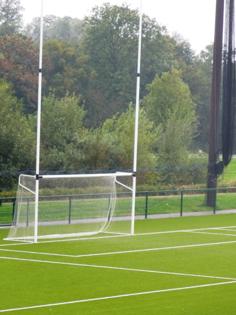 Hurling Post University of Limerick