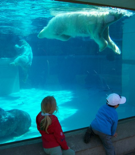 Lincoln Park Zoo, Chicago