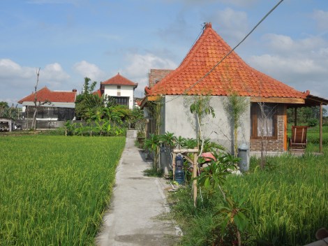 My Joglo, with the Alamanda guest house in the background.