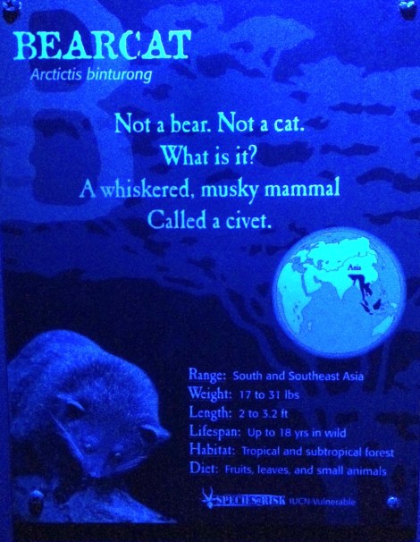 Hhhm. My husband and I are Bearcats. Maybe we could.... no.