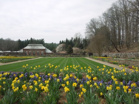 Free-things-to-do-Biltmore-garden