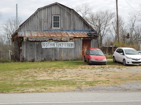 A spontaneous turn off the highway and suddenly, I was releasing a book at the Nothing Fancy Farm. :)