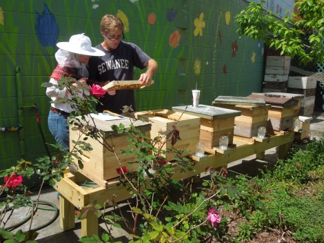 Ted Dennard with his hives