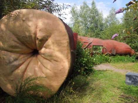 Weird place to stay in Belgium