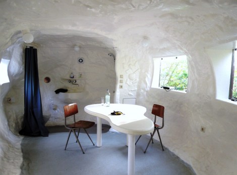 What does CasAnus look like inside?