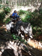 Sometimes I can't believe how lucky I am.