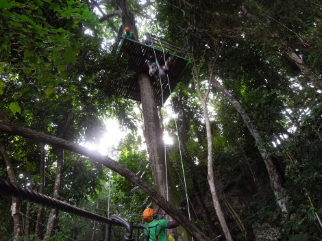 The vertical drop. A little scary...