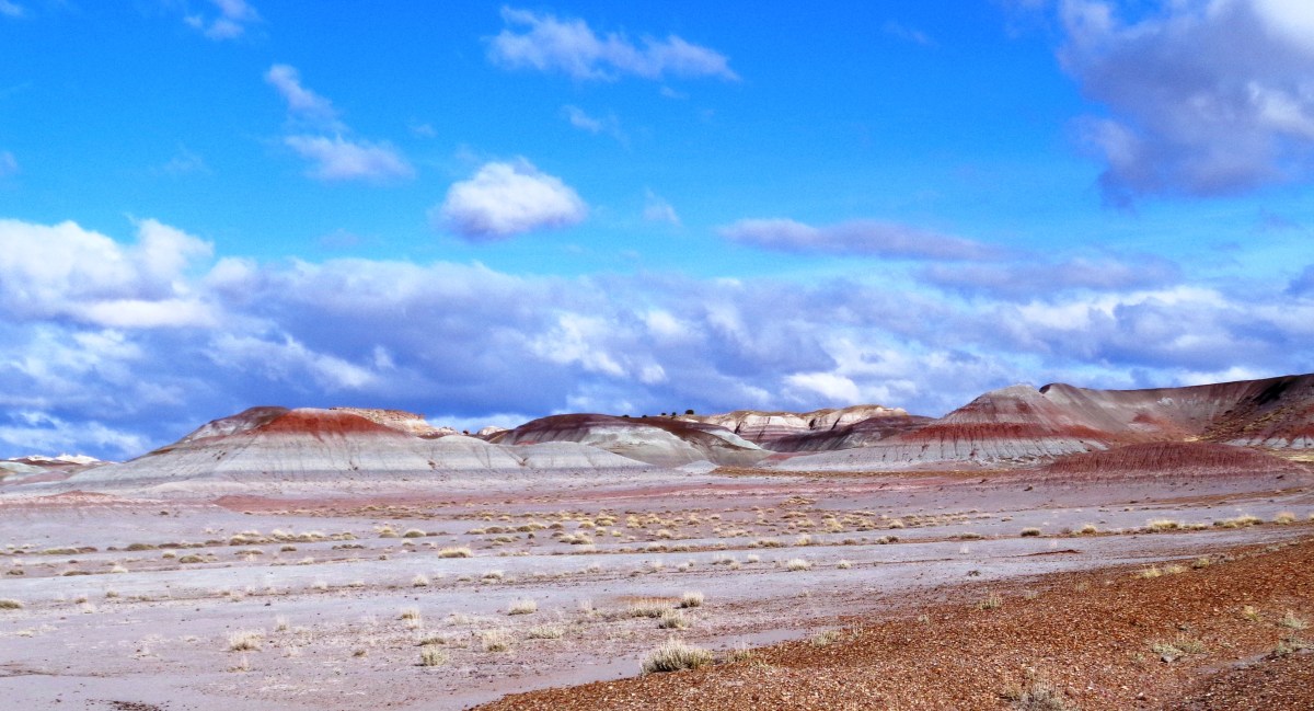 Grand Canyon or Painted Desert?
