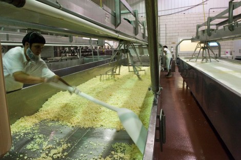 Copy of 20100806-DSC_5299