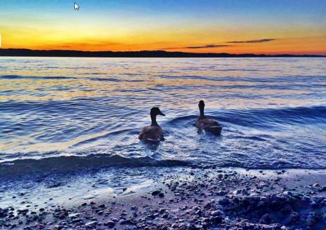 Torch-Lake-Kid-Rock-Michigan