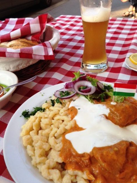 Chicken Paprikash with noodles