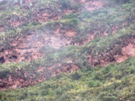 KODAK Digital Still Camera