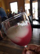 wine-slushie-tour-sip-zip-Lodge at Geneva-on-the-Lake