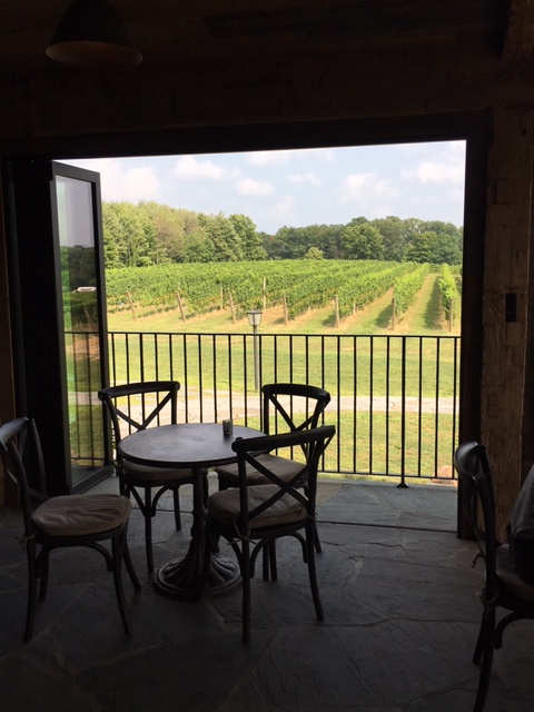 Wine tour-sip-zip-Lodge at Geneva-on-the-Lake