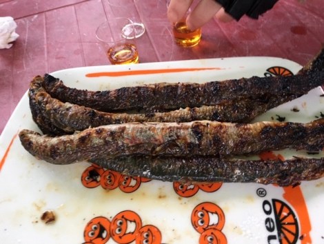 Where-to-get-eels-in-Latvia-Lampery Carnikava Latvia