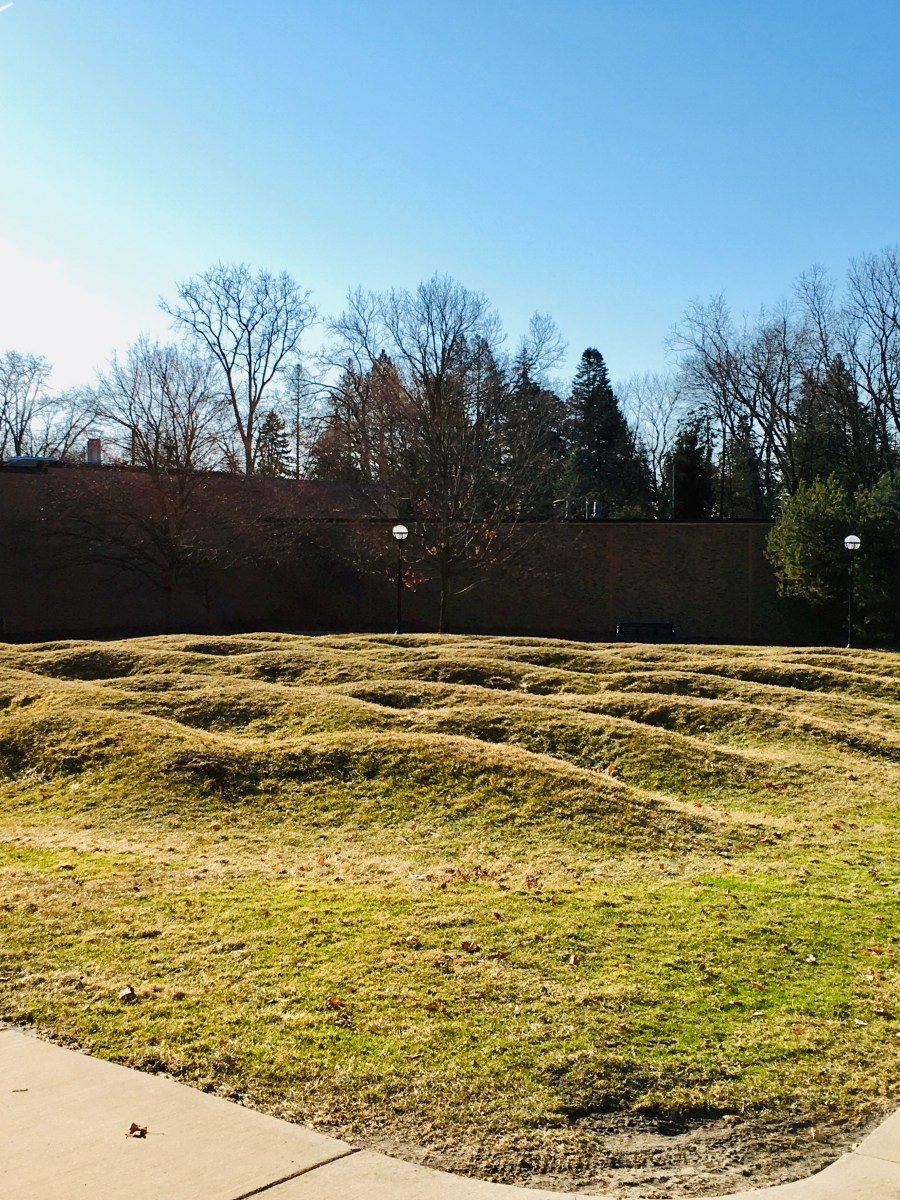 Wave-Field-University-of-Michigan-Ann-Arbor