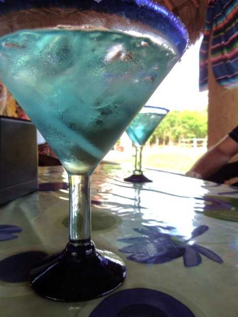 Blue-agave-margarita-prickly-pear-flavor