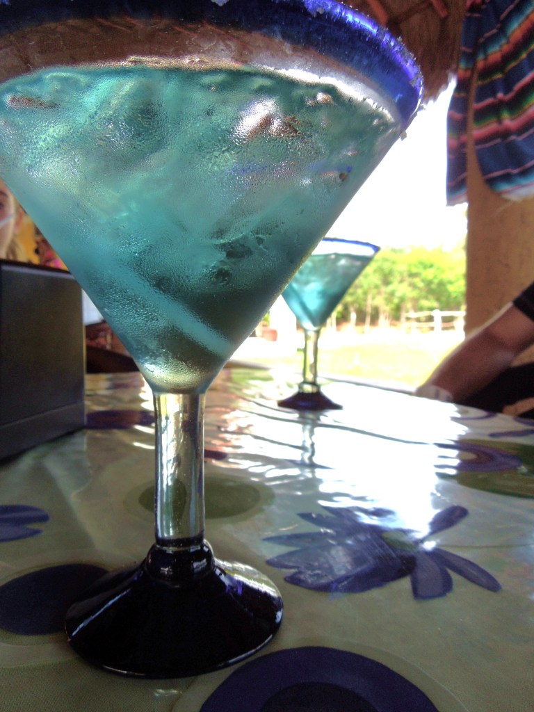 Blue-agave-margarita-prickly-pear-flavor