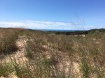 Lake Michigan dunes