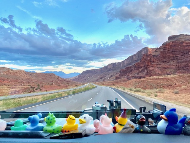 Duck on the Jepp's dashboard
